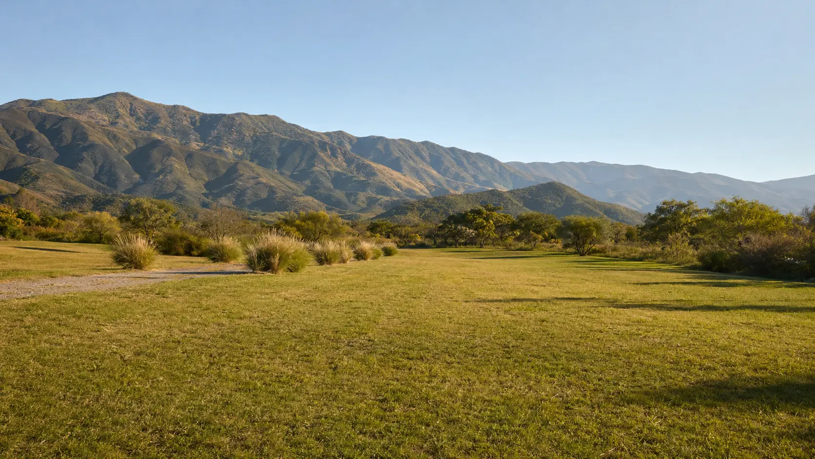 Terreno con proyección