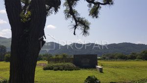 Vista 1 de la propiedad