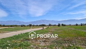 Vista 4 de la propiedad