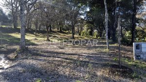 Vista 12 de la propiedad