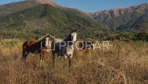 Vista 3 de la propiedad