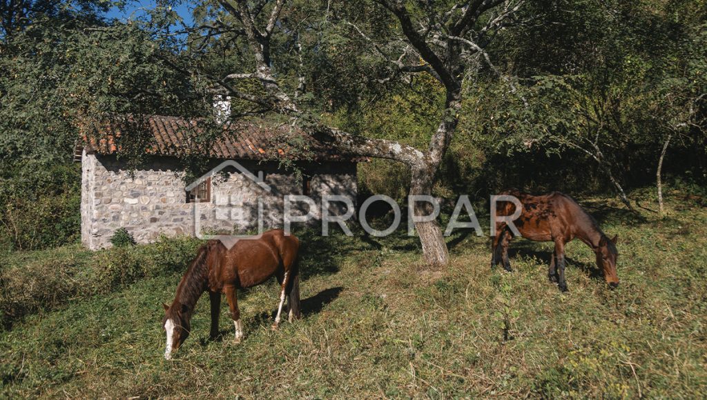 Chacras del manantial
