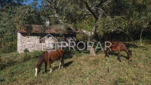 Vista 4 de la propiedad