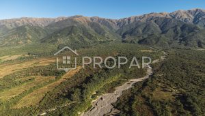 Vista 6 de la propiedad