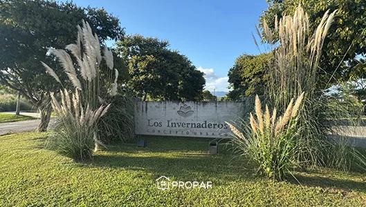 Terreno Los Invernaderos en San Lorenzo Chico · foto principal