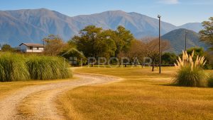 Vista 3 de la propiedad