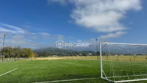 Vista 17 de la propiedad