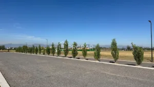 Vista 20 de la propiedad
