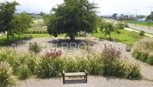 Vista 3 de la propiedad