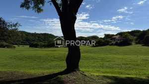 Vista 6 de la propiedad