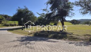 Vista 10 de la propiedad
