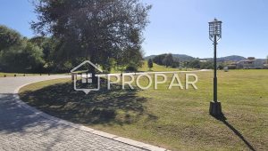 Vista 12 de la propiedad
