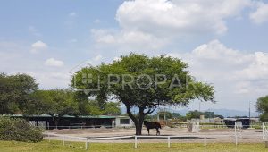 Vista 4 de la propiedad
