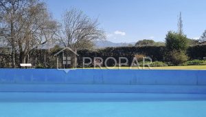 Vista 23 de la propiedad