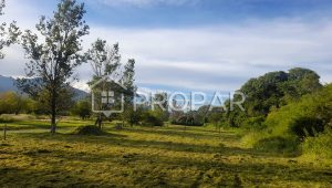 Vista 2 de la propiedad