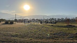 Vista 7 de la propiedad