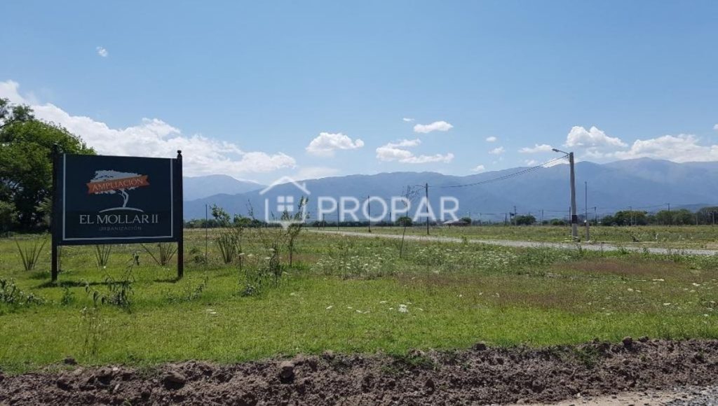 Fotografía ampliada 1 de 3