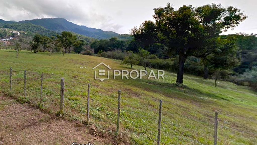 Fotografía ampliada 1 de 1