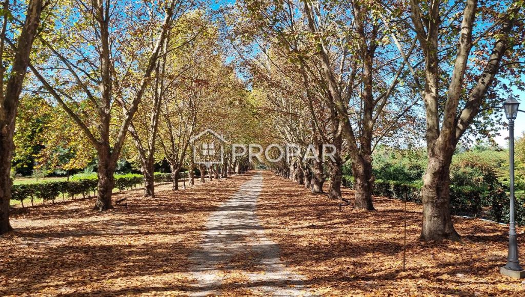Fotografía ampliada 1 de 2