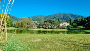 Vista 2 de la propiedad