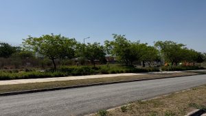 Vista 2 de la propiedad