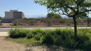 Vista 4 de la propiedad
